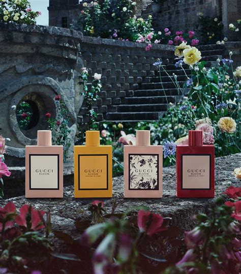 profumi riccione gucci bloom|gucci bloom profumo di fiori.